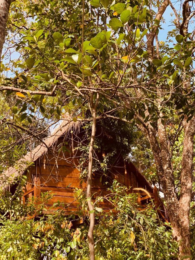 Kale Cottage Belihuloya Exterior foto