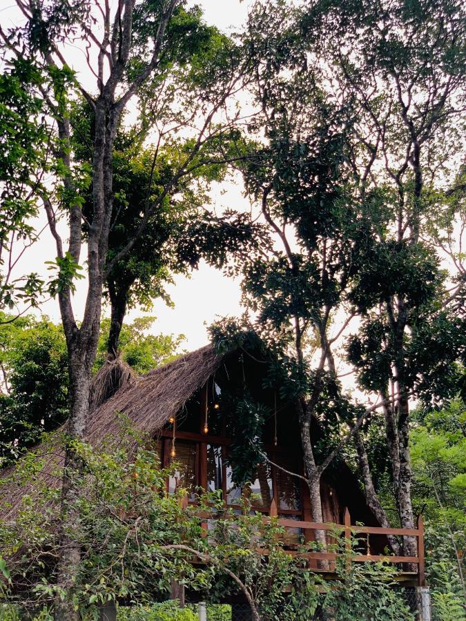 Kale Cottage Belihuloya Exterior foto